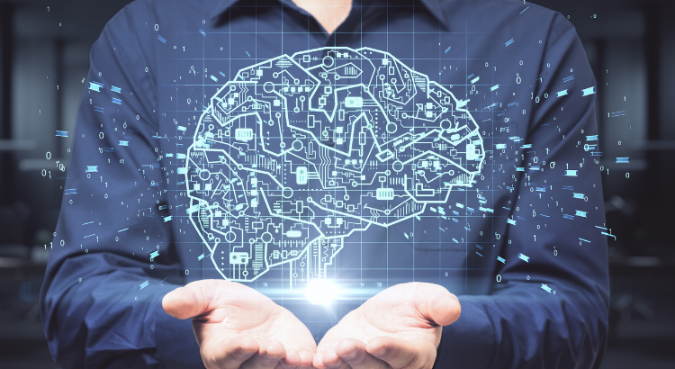 Neuroplasticity Brain Study