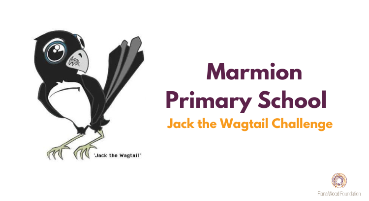 Image for Marmion Primary School - Jack the Wagtail