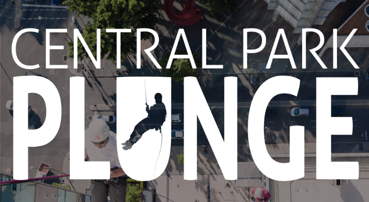 Image for Central Park Plunge - countdown